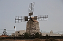 Kanary_2010 136